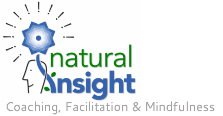 Natural Insight Coaching